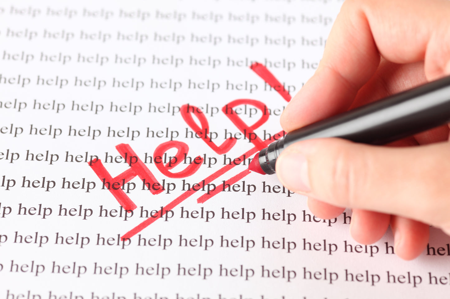 Online Assignment Help